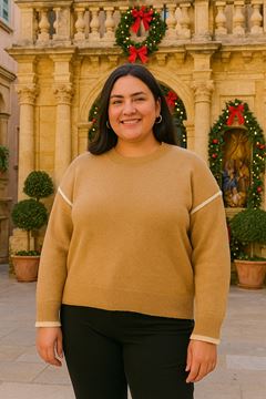 Picture of CURVY GIRL SMART QUALITY SWEATER